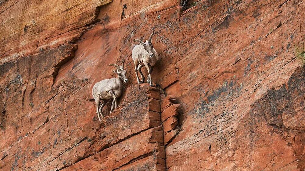 Devet savjeta kako da se nosite sa turbulentnim vremenima