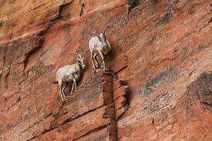 Devet savjeta kako da se nosite sa turbulentnim vremenima