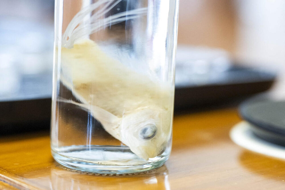 <p>Naučnici iz Grupe za tkivni inženjering univerziteta i biomedicinskog istraživačkog instituta Granada saopštili su da su napravili implantate za rožnjaču od ribljih krljušti koji su pokazali visoku biokompatibilnost, providnost i otpornost</p>