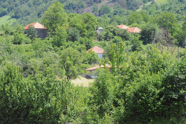 Poništavanje prirode i čovjeka