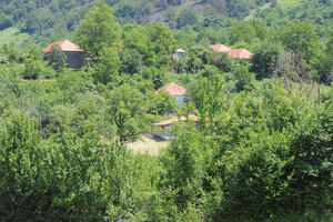 Poništavanje prirode i čovjeka