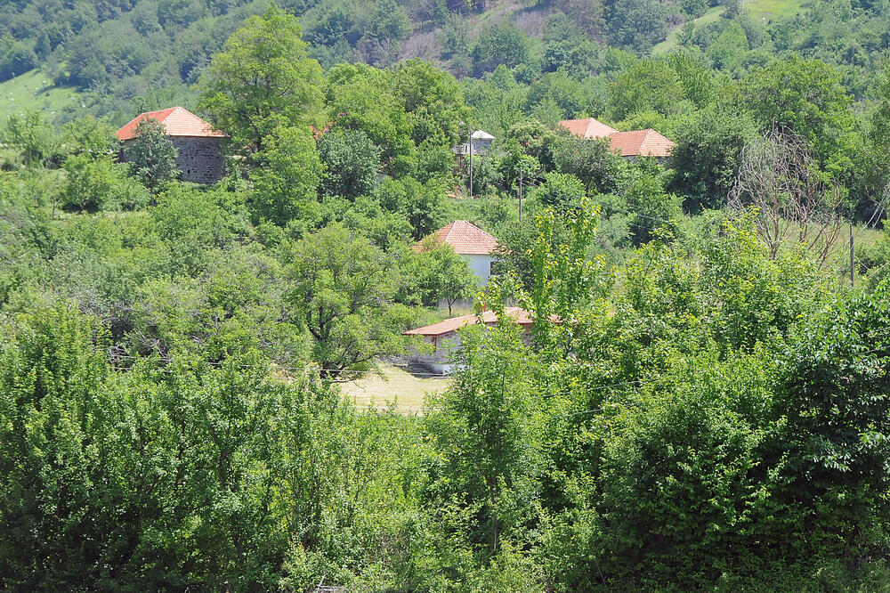 Detalj iz Brskuta, Foto: Arhiva Vijesti/Zoran Đurić