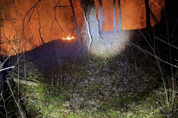 Bijelo Polje: Veliki broj požara na otvorenom