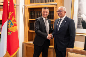 Mandić: Zbližavanje malih država ključno za njihov snažniji glas u...