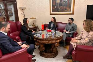 Andrić: Govor mržnje ozbiljna prepreka javnom angažmanu žena u...