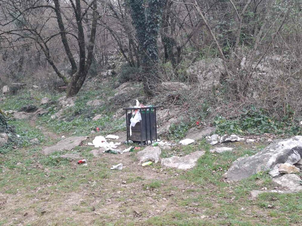 <p>"Nije prvi put da u park dolaze svakakvi", kazao je direktor DMEN-a</p>