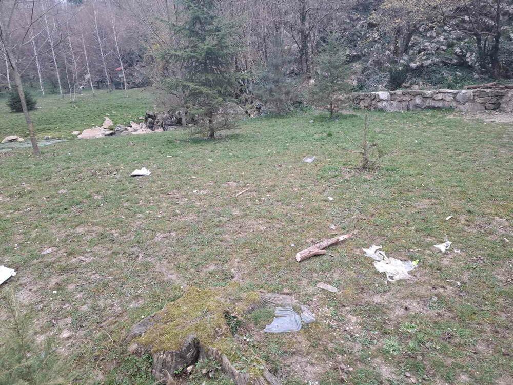 <p>"Nije prvi put da u park dolaze svakakvi", kazao je direktor DMEN-a</p>