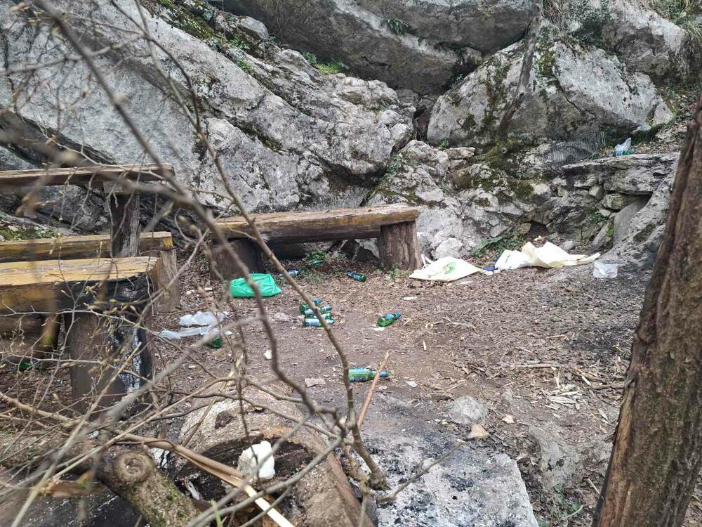 <p>"Nije prvi put da u park dolaze svakakvi", kazao je direktor DMEN-a</p>