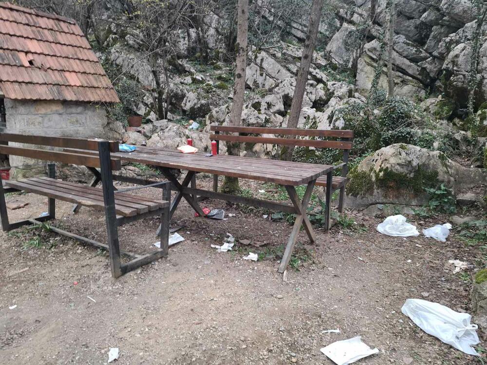 <p>"Nije prvi put da u park dolaze svakakvi", kazao je direktor DMEN-a</p>