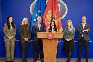 Zoja Bojanić Lalović podnijela ostavku na mjesto kopredsjedavajuće...