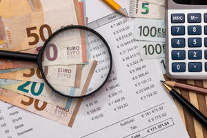 Cijena korupcije i neuređenosti u javnim finansijama Crne Gore:...