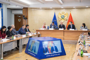 Skupština pala na kontrolnom: Politika ograničila nadzornu ulogu...