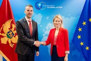 Spajić: Pohvaljeni napori Crne Gore u brzim reformama i...