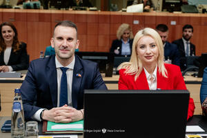 Gorčević: Potvrđujemo da ispunjavamo zahtjevna mjerila EU