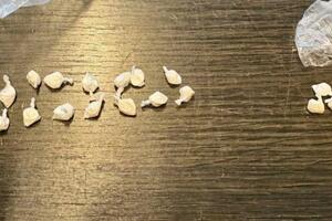 Uhapšen Podgoričanin kod kojeg je pronađeno 21 pakovanje kokaina