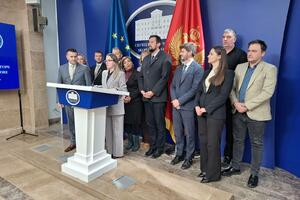 Čarapić: Dvije međuvladine konferencije u maju i junu, biće...