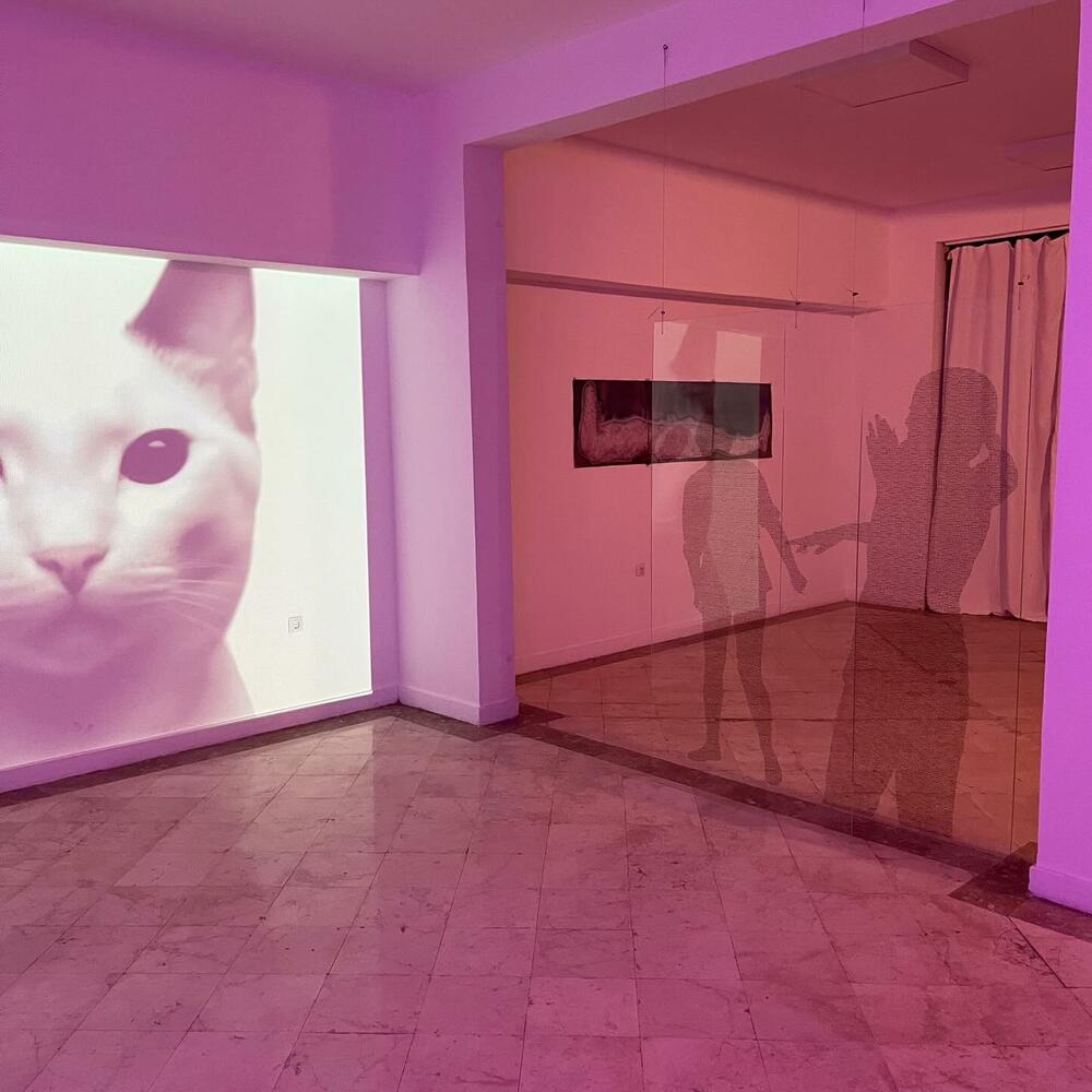 <p>Pažljivo koncipirana izložba &ldquo;Algoritam brige&rdquo;, u organizaciji NVU &ldquo;ŠkArt&rdquo; iz Tivta i Galerije &ldquo;Novembar&rdquo; iz Beograda, otvorena je u Novoj galeriji vizuelnih umjetnosti u Podgorici</p>