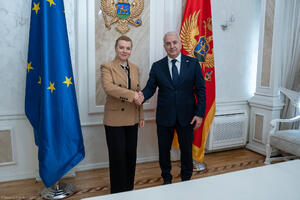 Đurović i Molcean razgovarali o uticaju UN i o značaju...