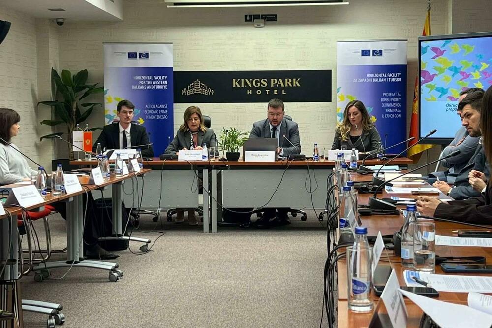 Koprivica na Okruglom stolu, Foto: Vlada Crne Gore