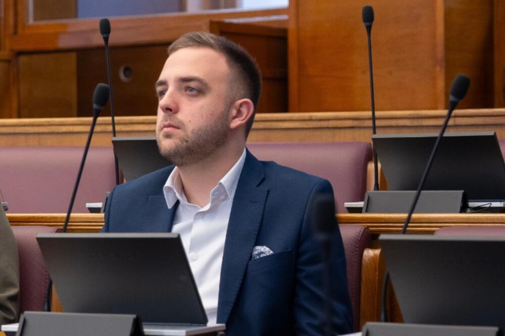Paunović, Foto: Demokratska Crna Gora