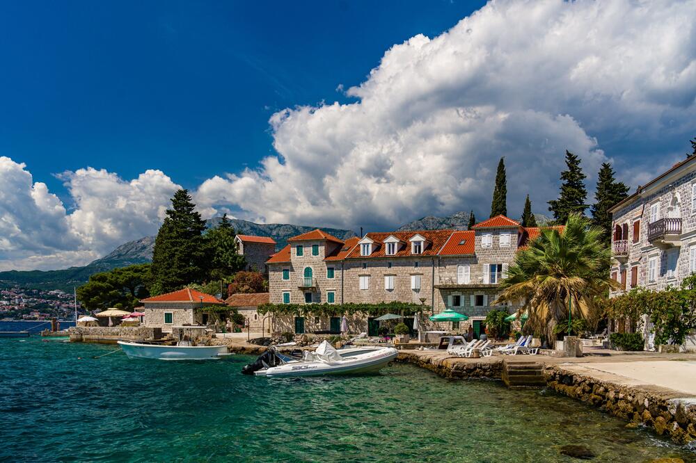 Preduzetnik posao dobio na godinu dana: Rose, Foto: Shutterstock