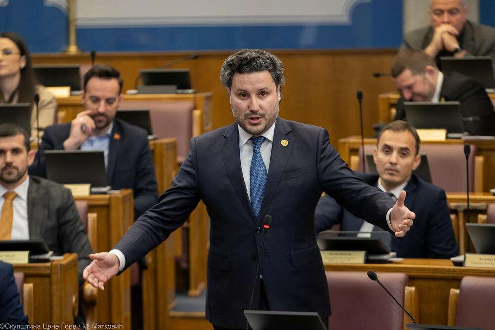 Foto: Skupština Crne Gore/M.Matković