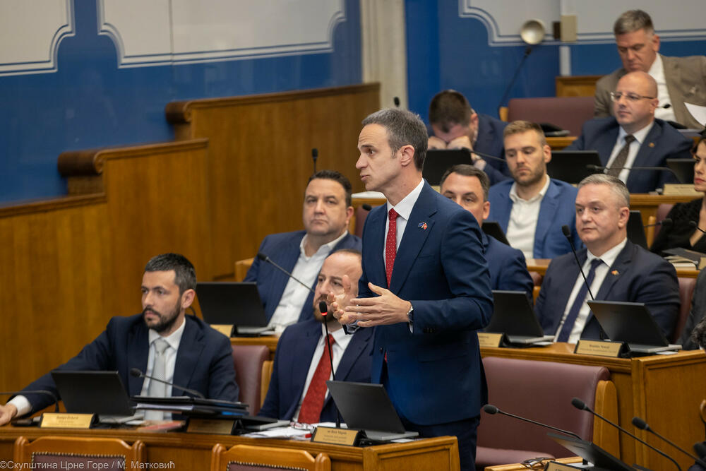 Skupština Crne Gore