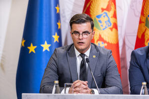 Šaranović: Usvajanjem izmjena i dopuna Zakona o unutrašnjim...