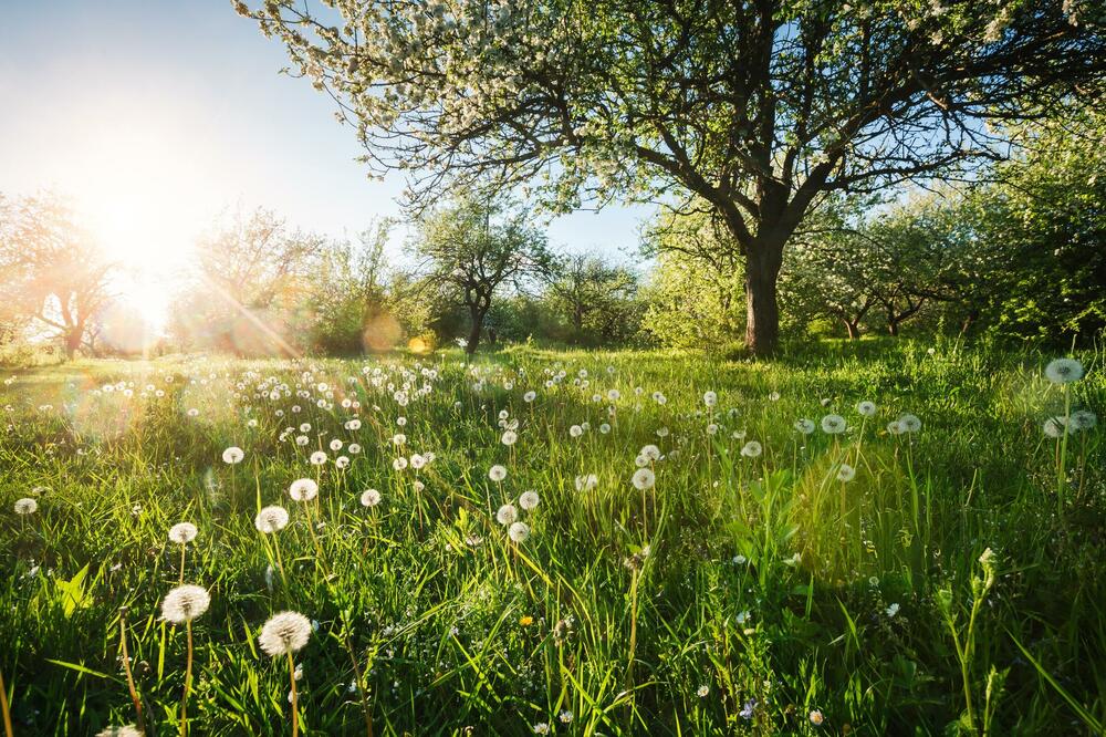 Ilustracija, Foto: Shutterstock