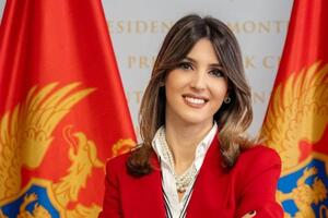 Vukajlović: Vlada da privremeno smanji akcize na gorivo, razmotri...