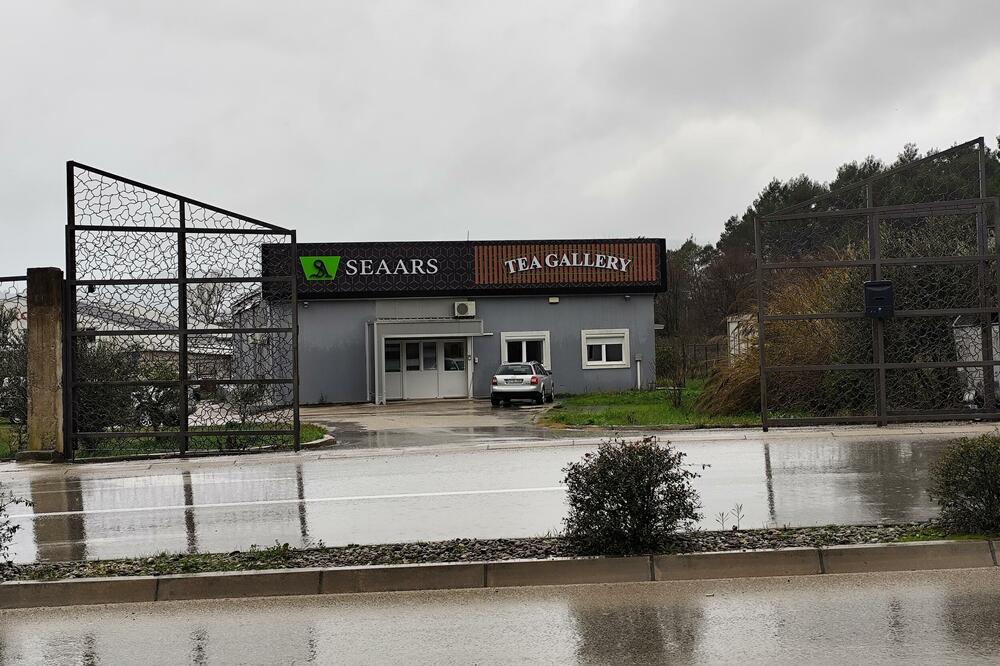 Bivše skladište Dalmacijavina u Tivtu, Foto: Siniša Luković