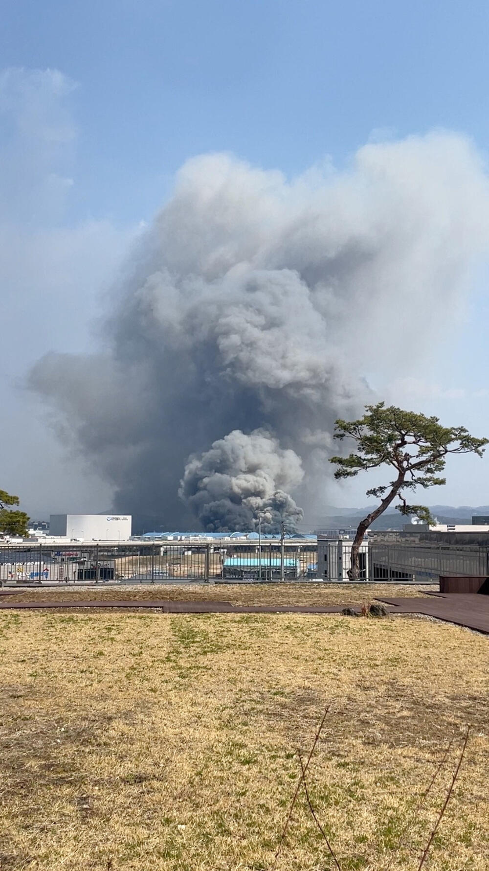 <p>Južnokorejska vlada aktivirala je centralizovani sistem upravljanja katastrofama za ovu veliku nesreću, nakon što je predsednik Li Dže Mjung naredio mobilizaciju svih raspoloživih resursa radi gašenja požara i spasavanja života</p>