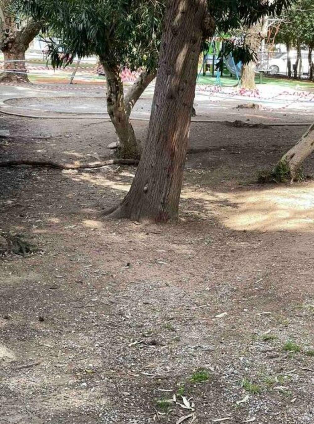 <p>"Gradevinski radovi koji se izvode neposredno uz ogradu vrtića već su prouzrokovali ozbiljna oštećenja dvorišta i javne saobraćajnice - uključujući duboka udubljenja i pukotine koje predstavljaju neposrednu opasnost po život i zdravije djece", navodi se u zahtjevu koji protpisuje predstavnik roditelja djece iz Centralnog vrtića JPU "Ljubica V. Jovanović - Maše" u Budvi, Petar Antonioli, a koji je dostavljen "Vijestima"</p>