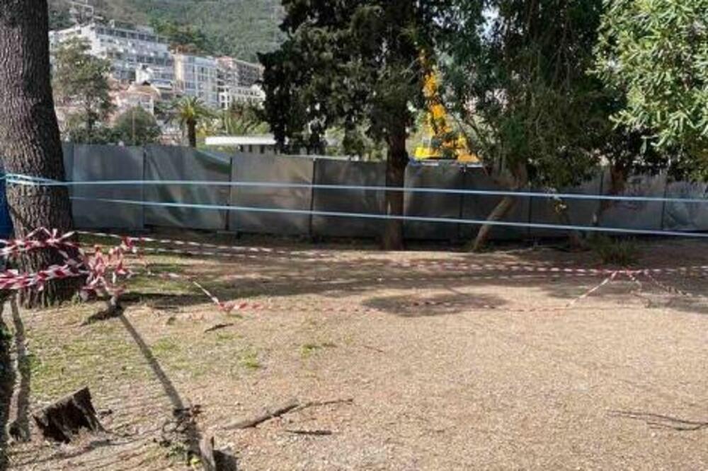 Foto: Petar Antonioli