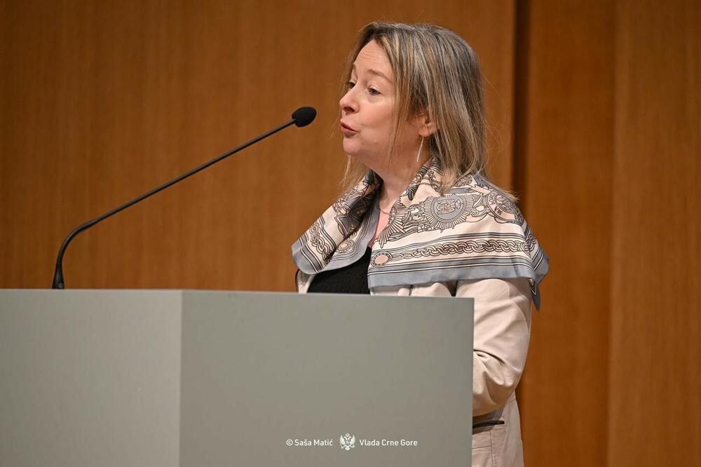 <p>Perišiċ je naglasila značaj Međunarodne organizacije za frankofoniju (OIF) kao platforme koja povezuje države i narode širom pet kontinenata, a koji njeguju vrijednosti zasnovane na poštovanju kulturnih i jezičkih raznolikosti, demokratije, mira i solidarnosti<br /> </p>