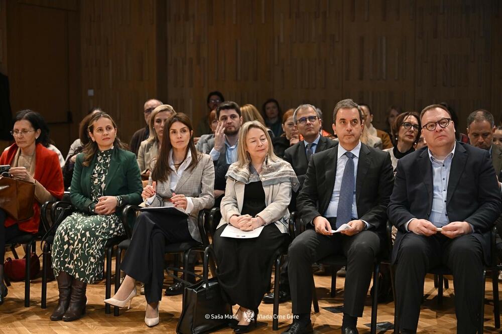 <p>Perišiċ je naglasila značaj Međunarodne organizacije za frankofoniju (OIF) kao platforme koja povezuje države i narode širom pet kontinenata, a koji njeguju vrijednosti zasnovane na poštovanju kulturnih i jezičkih raznolikosti, demokratije, mira i solidarnosti<br /> </p>