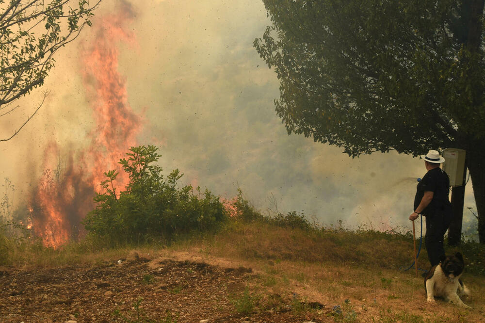 Komisiji samo iz Podgorice stiglo više od 280 zahtjeva (ilustracija), Foto: BORIS PEJOVIC