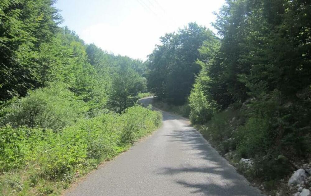 Zagrad Montenegro: Šumski komleks Seloštak bez zaštite uprkos...