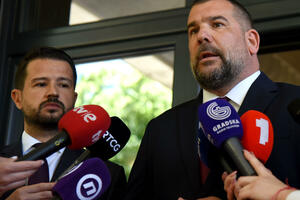 Vlada: Krapovićeve nadležnosti saglasne s Ustavom