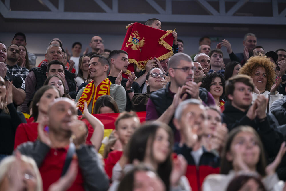 <p>Rukometaši Crne Gore i u drugom meču 2. runde kvalifikacija za Svjetsko prvenstvo bolji od Finske 30:26. U maju će se protiv Slovenije u dva meča baraža boriti za kartu koja vodi na Mundijal u Njemačku</p>