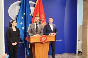 Rakočević: Došlo je vrijeme da se poslanici i vlasti i opozicije...