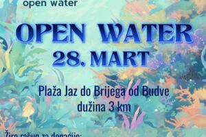 Humanitarni maraton za liječenje Budvanina