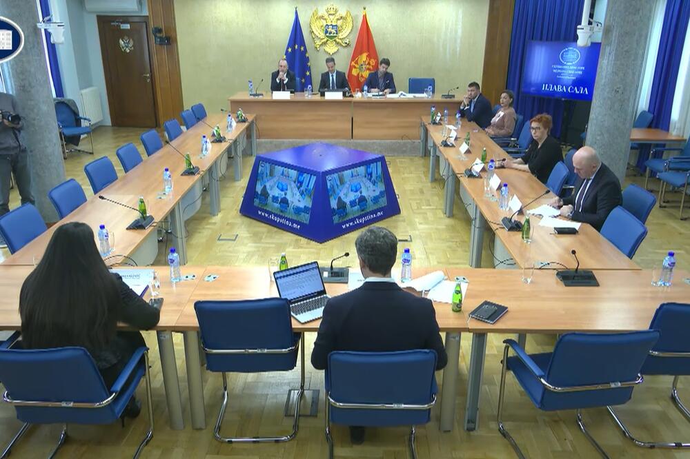 Sa sjednice, Foto: Screenshot/Skupština Crne Gore