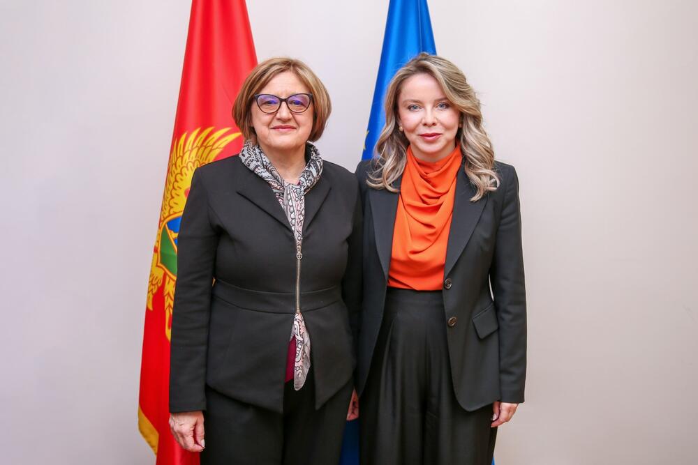 Radović: Saradnja sa Centrom za izvrsnost u finansijama doprinosi...