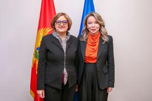 Radović: Saradnja sa Centrom za izvrsnost u finansijama doprinosi...