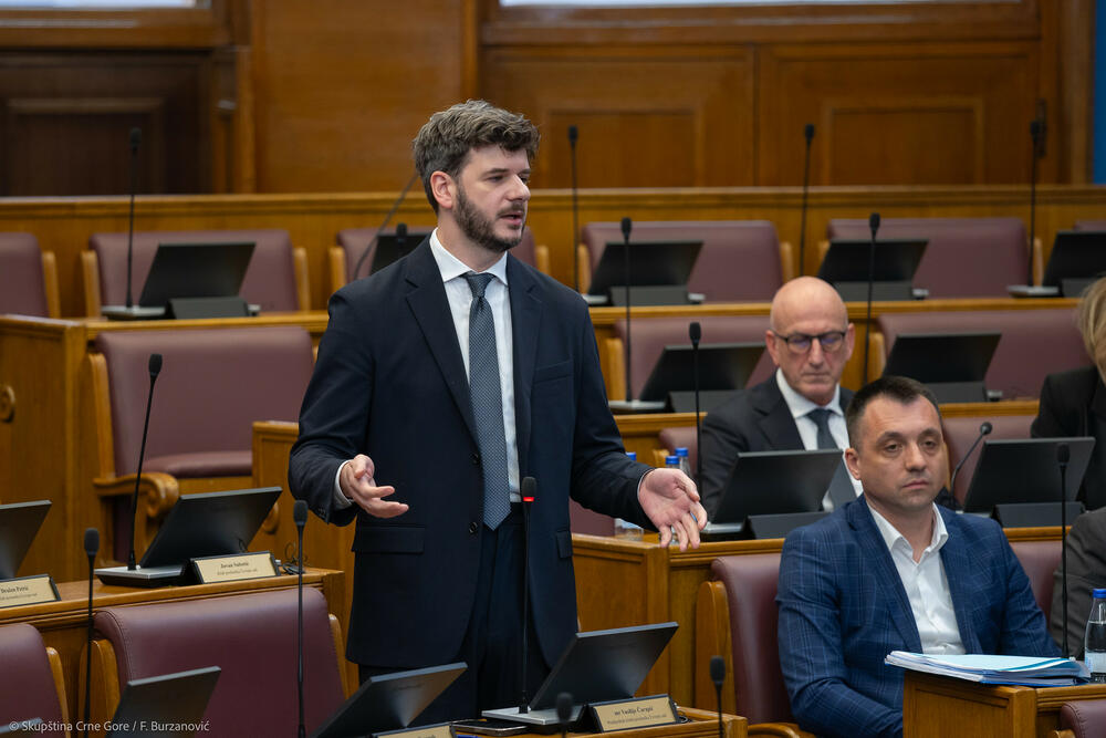 Čarapić: PES će predati u proceduru izmjene Zakona o biračkom...