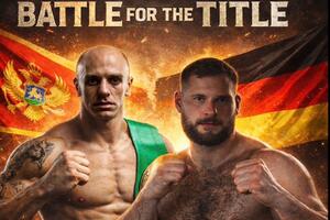 Borba karijere Zvjezdana Vidakovića