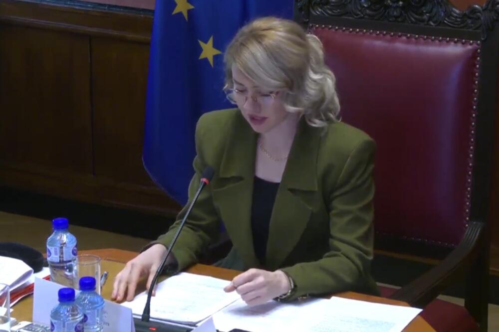 Božović, Foto: Screenshot/Youtube/Skupština Crne Gore