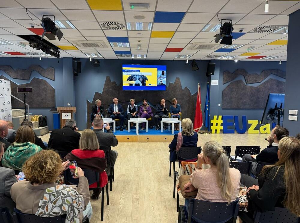 Evropska kuća: Pokrenut dijalog o rješenjima za dobrobit životinja...