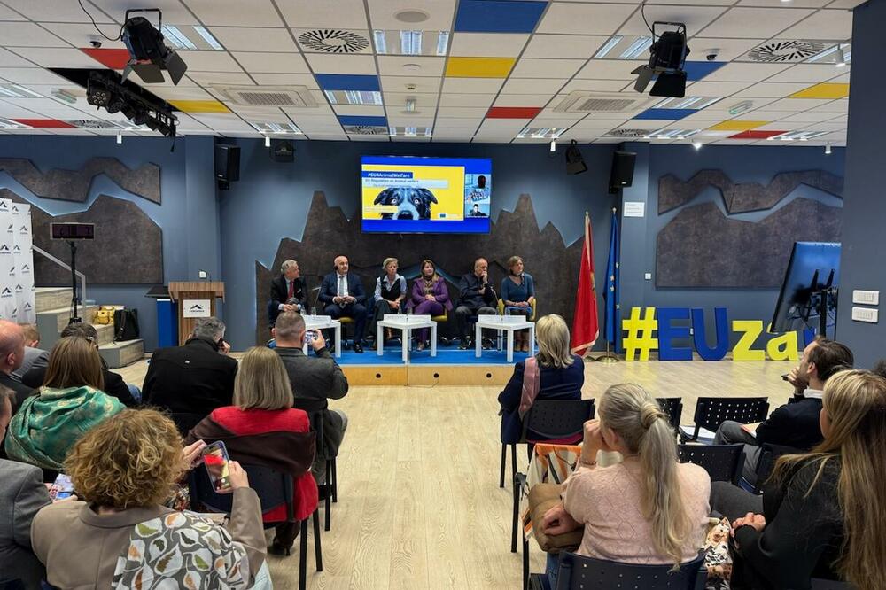 Foto: Evropska kuća